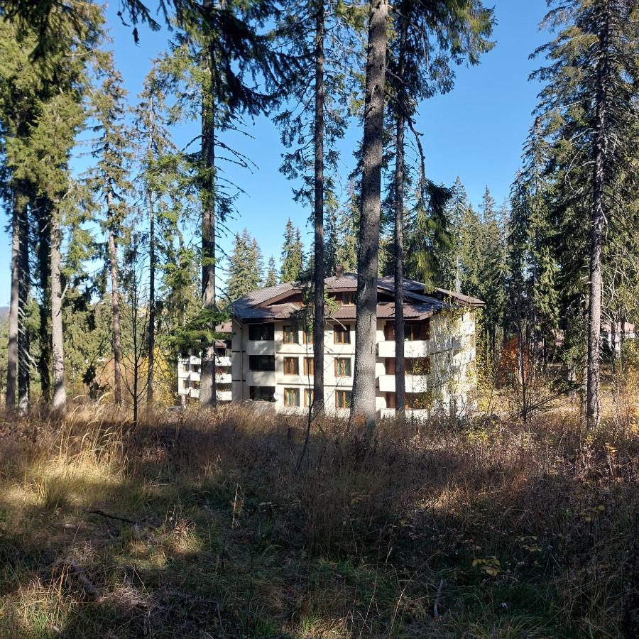 Апартамент Николови Пампорово Exterior foto